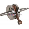 (yng)100CC2T100AX100 Ħ܇S