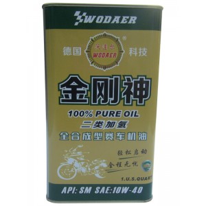 17Ӛȫϳِ܇C(j) SAE10W-40