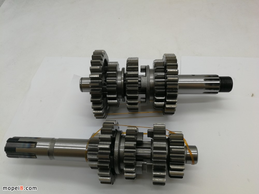pTQM250GYnλX݆MGS250S