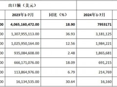 2024年前七月：中國(guó)摩托車出口漲勢(shì)穩(wěn)定，拉丁美洲成最大增長(zhǎng)點(diǎn)